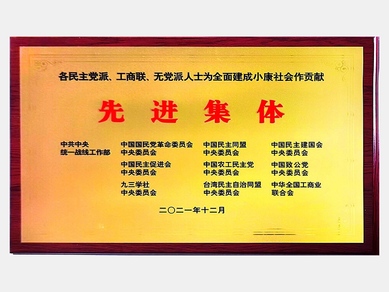 各民主党派、工商联、无党派人士为全面建成小康社会作贡献先进集体