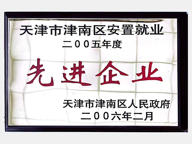 天津市津南区安置就业二OO五年度先进企业